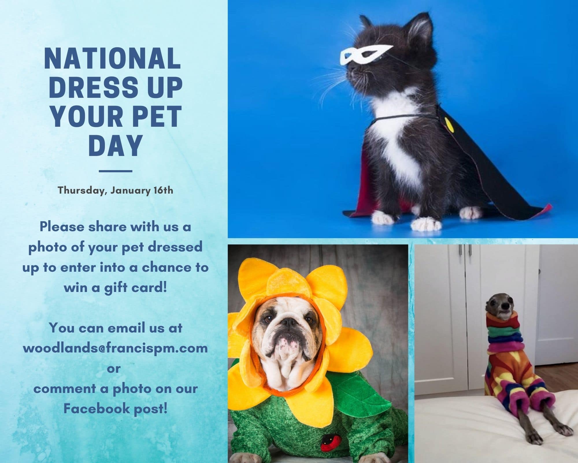 Join the celebration of National Dress Up Your Pet Day at our Apartments in The Woodlands TX!