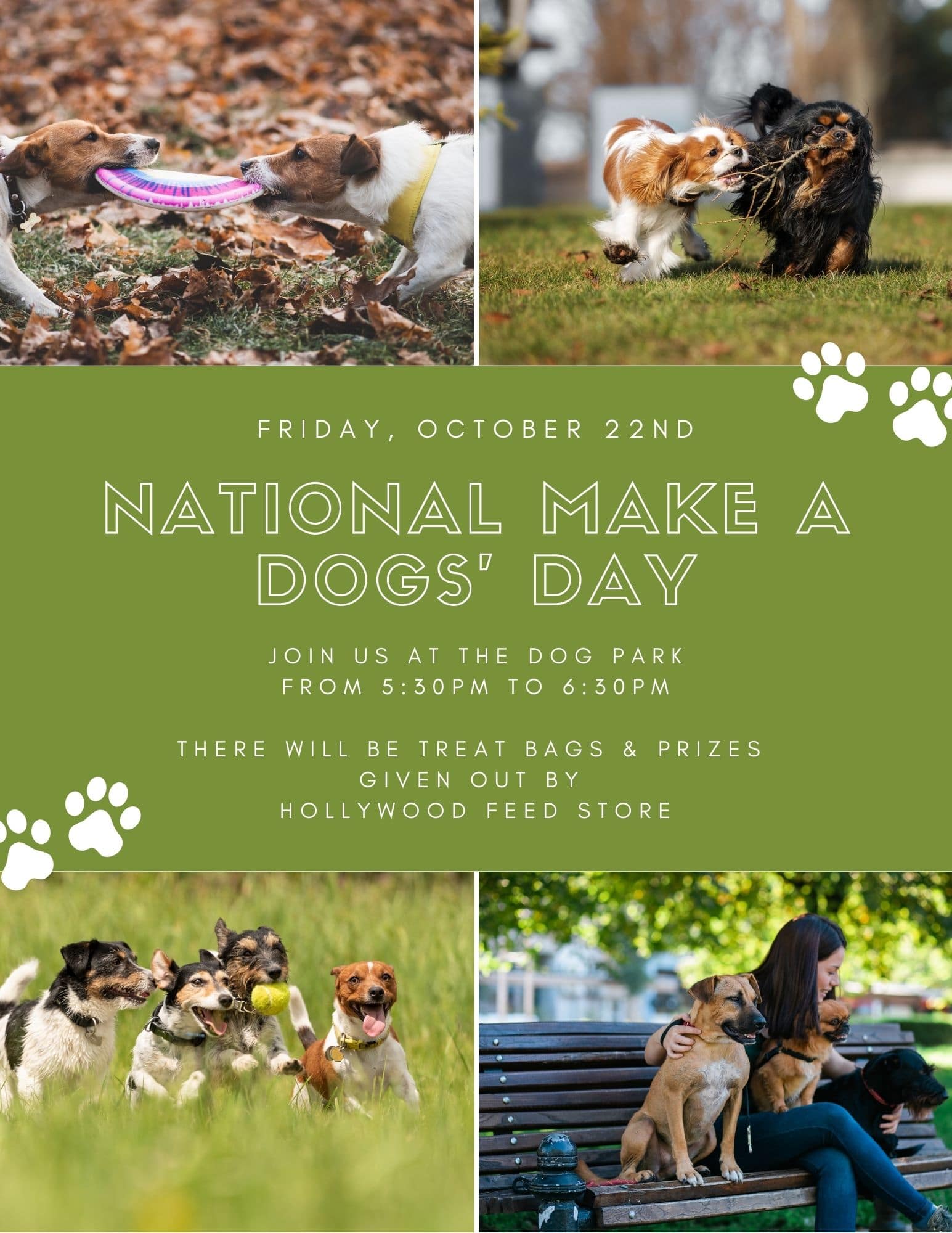National make a dog's day flyer promoting Apartments in The Woodlands TX.