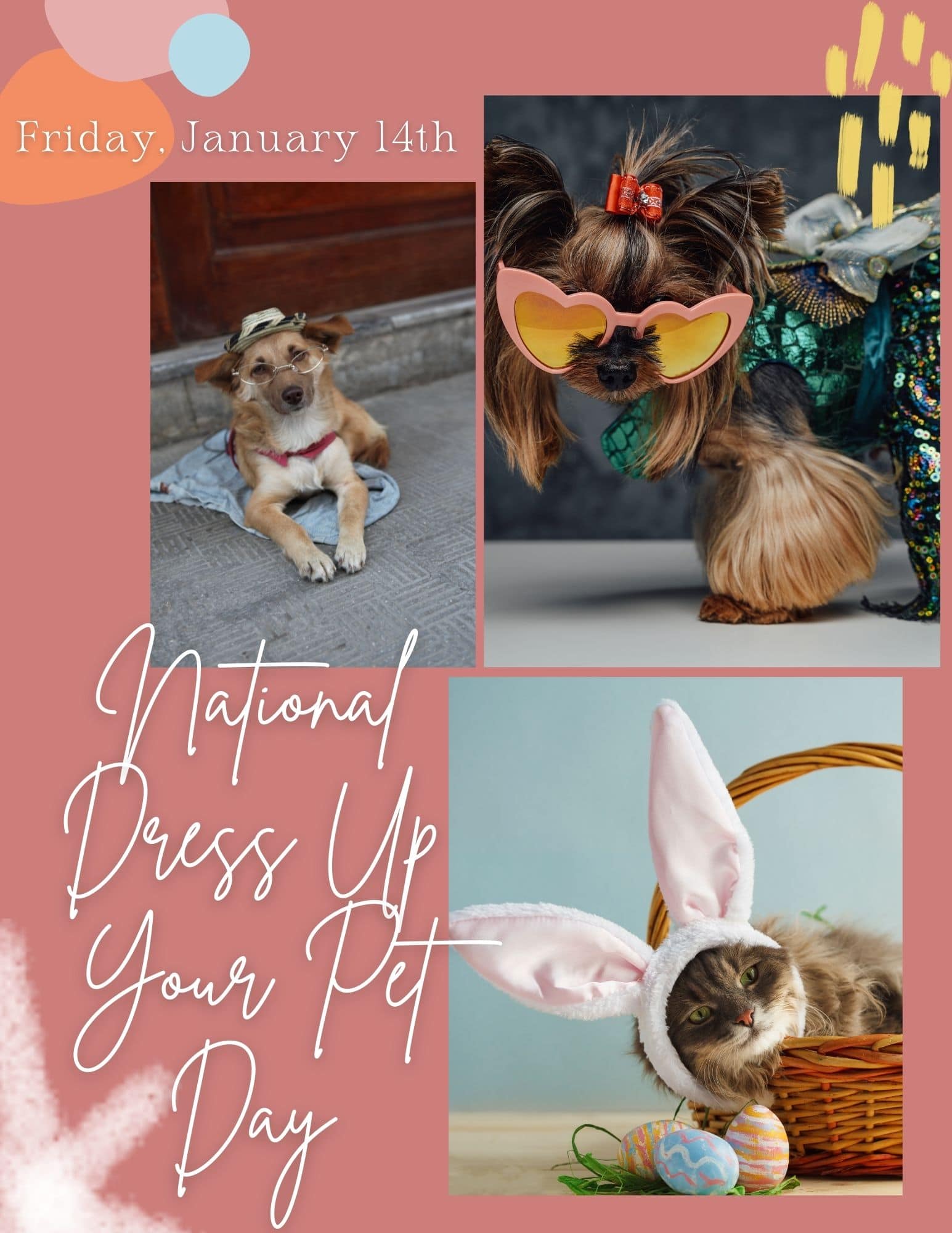 Celebrate National dress up your pet day in Apartments in The Woodlands TX by showcasing your beloved furry companions in adorable outfits.