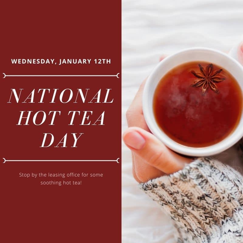 Celebrate National Hot Tea Day with a selection of cozy Apartments in The Woodlands TX. Explore our luxurious Apartments for rent Woodlands TX and discover the perfect place to enjoy a warm cup of
